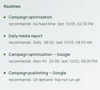 Matt routines: campaign optimization, daily media report, Google campaign optimization and publishing